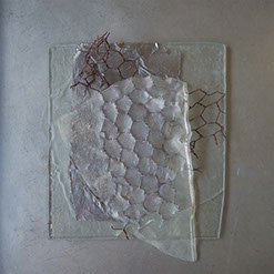 櫻井美奈子の作品紹介